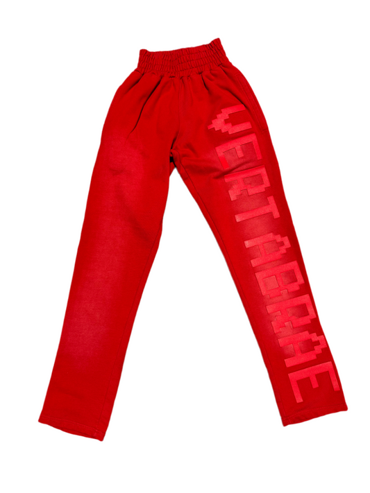 Unreleased Vertabrae Sweatpants